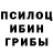 Галлюциногенные грибы Psilocybine cubensis Viktot Kazantzew