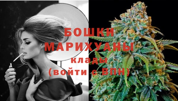 ПСИЛОЦИБИНОВЫЕ ГРИБЫ Верея