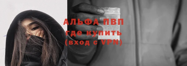 ПСИЛОЦИБИНОВЫЕ ГРИБЫ Верея
