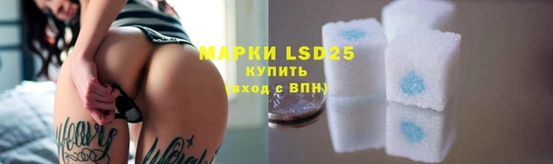 ПСИЛОЦИБИНОВЫЕ ГРИБЫ Верея