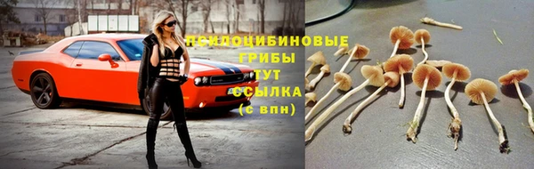 мяу мяу мука Верхний Тагил